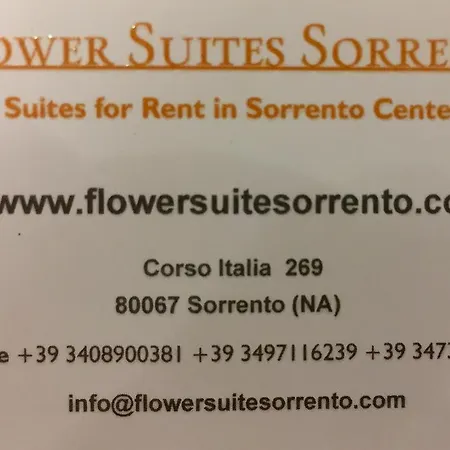 Flower Sorrent
