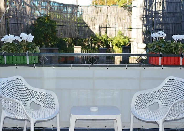 Flower Сорренто